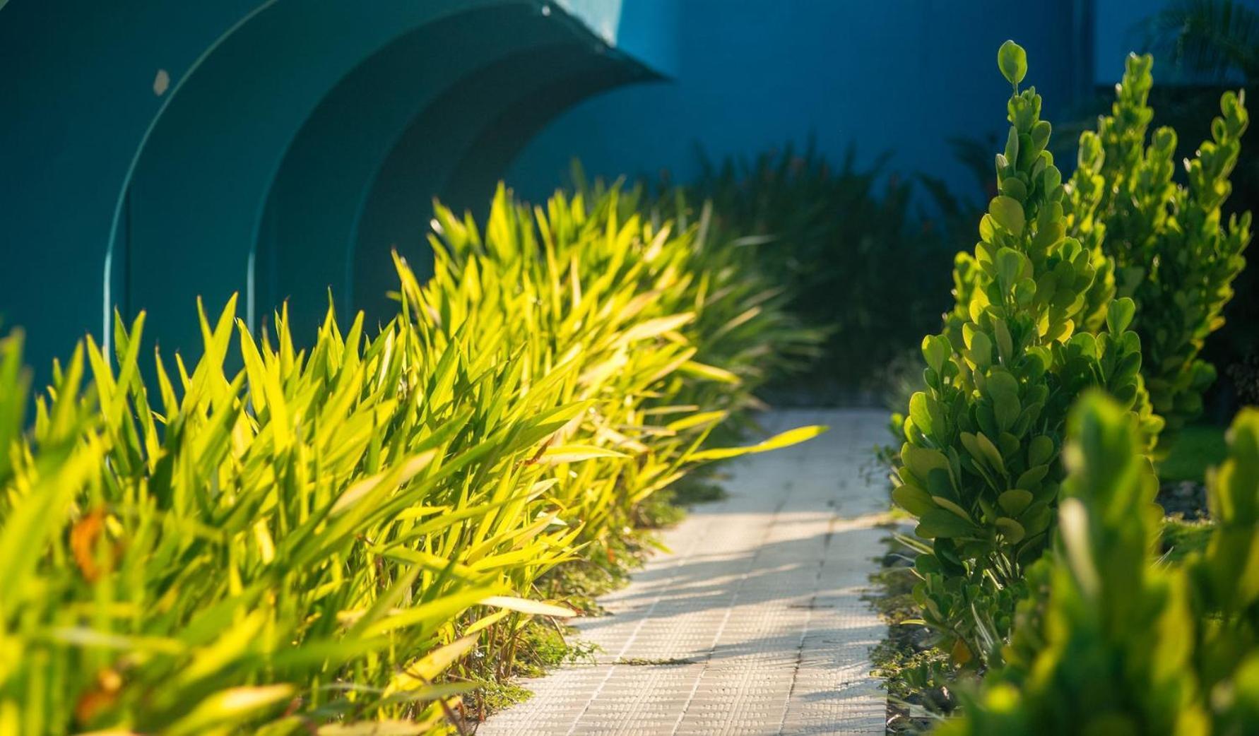 Beach Break Resort & Cr Surf Camp Jaco Bagian luar foto
