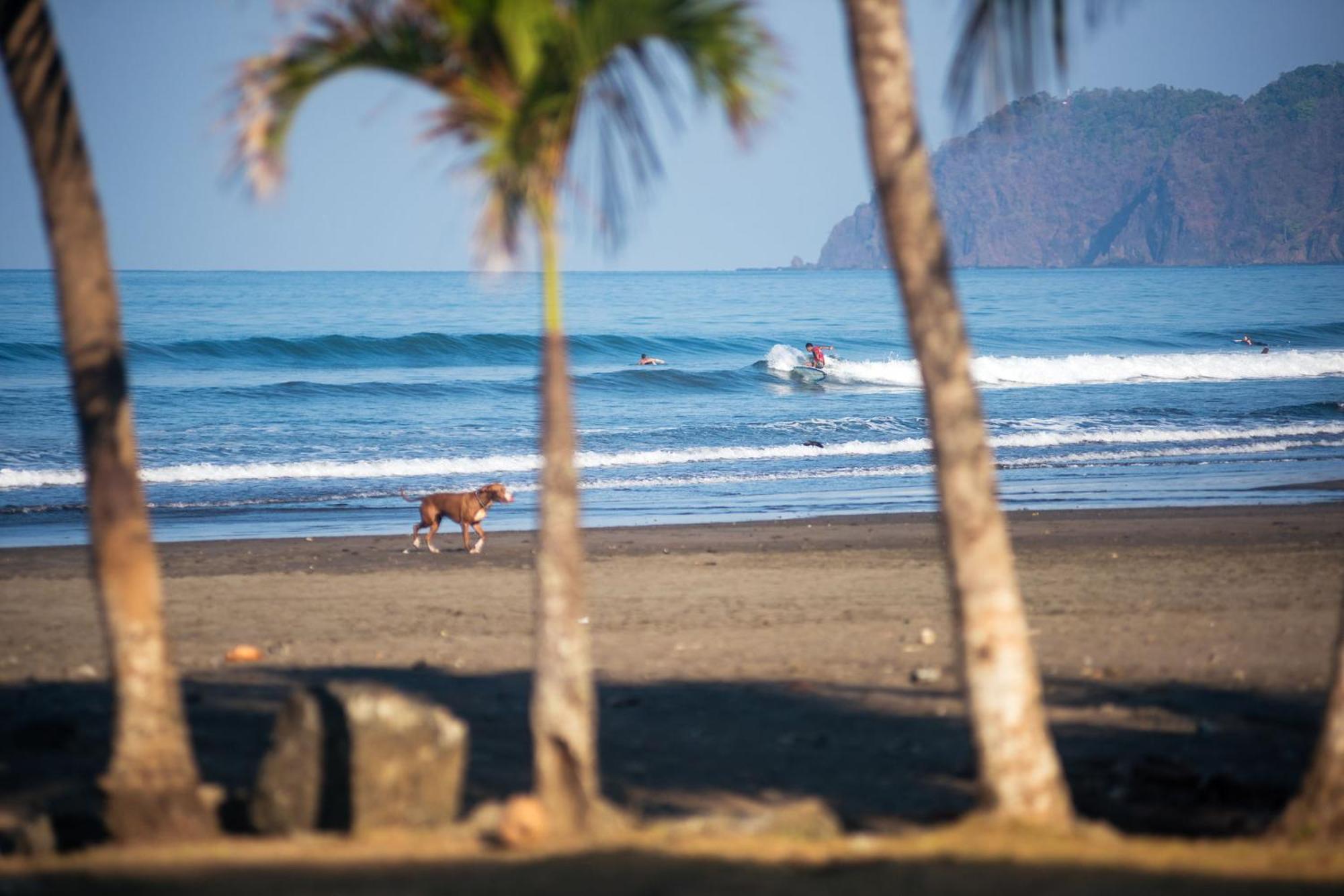Beach Break Resort & Cr Surf Camp Jaco Bagian luar foto